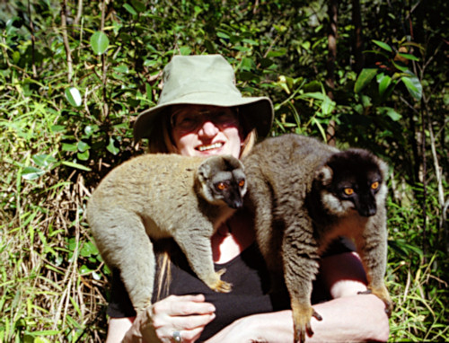 Vacona6BrownLemurs.jpg